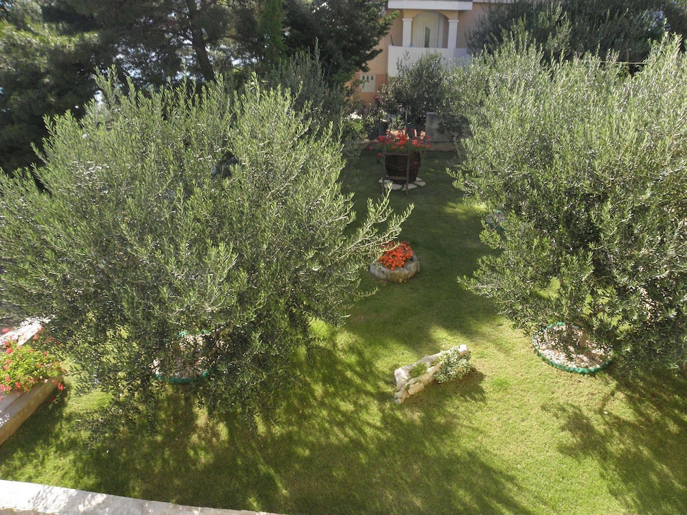 Jadro - 20 m From sea - A1 view 2