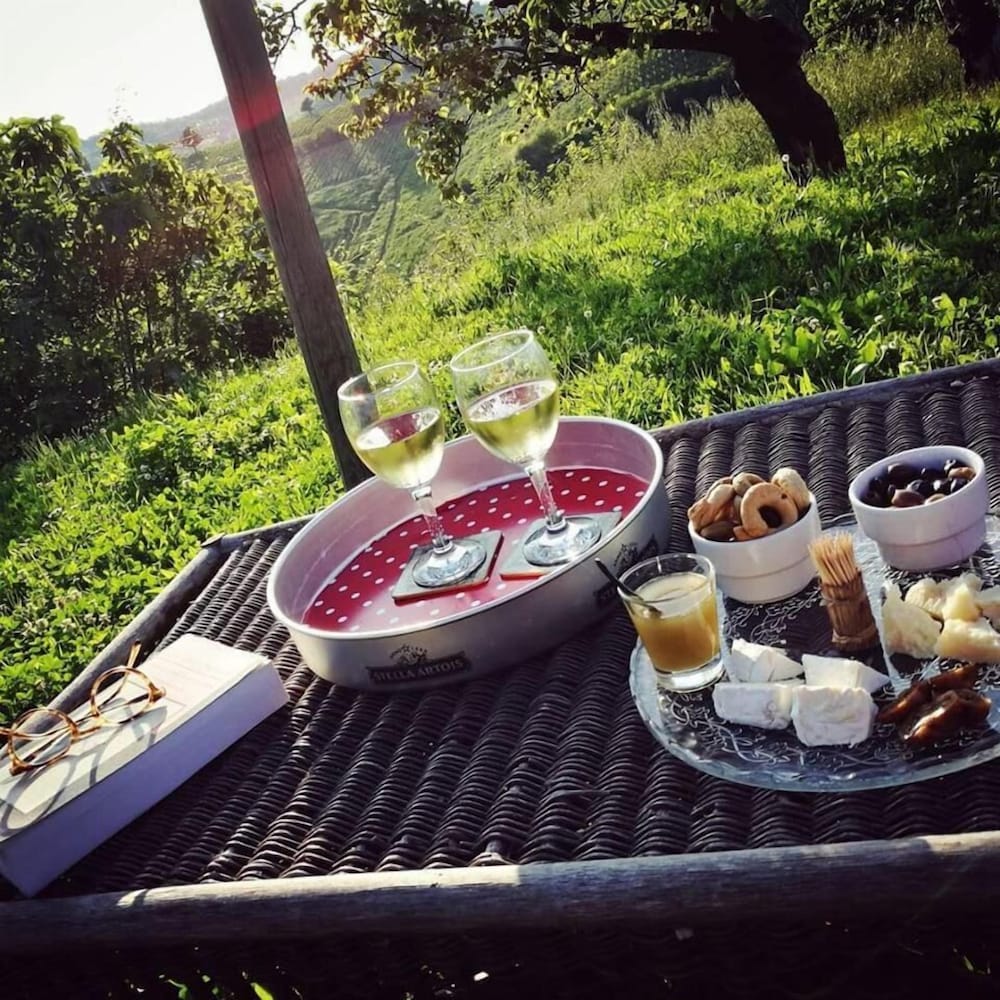 Il Poggio B&B