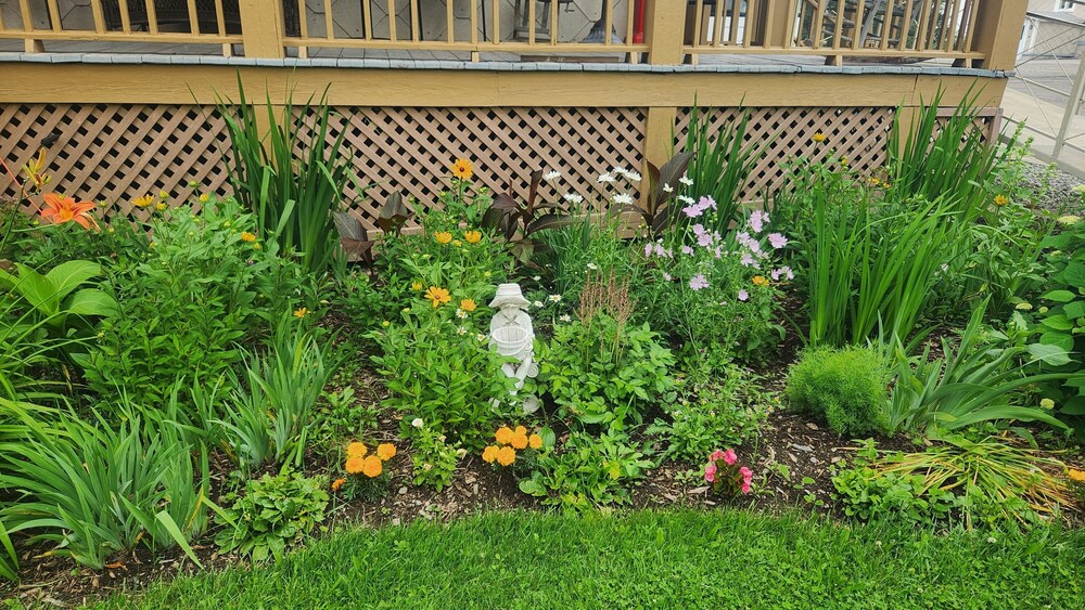 Photo 37