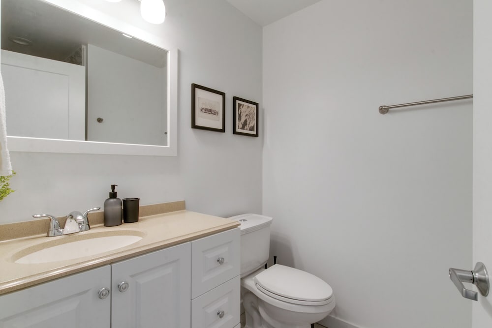 Stylish 1BR in West Loop - Lake 301 rep