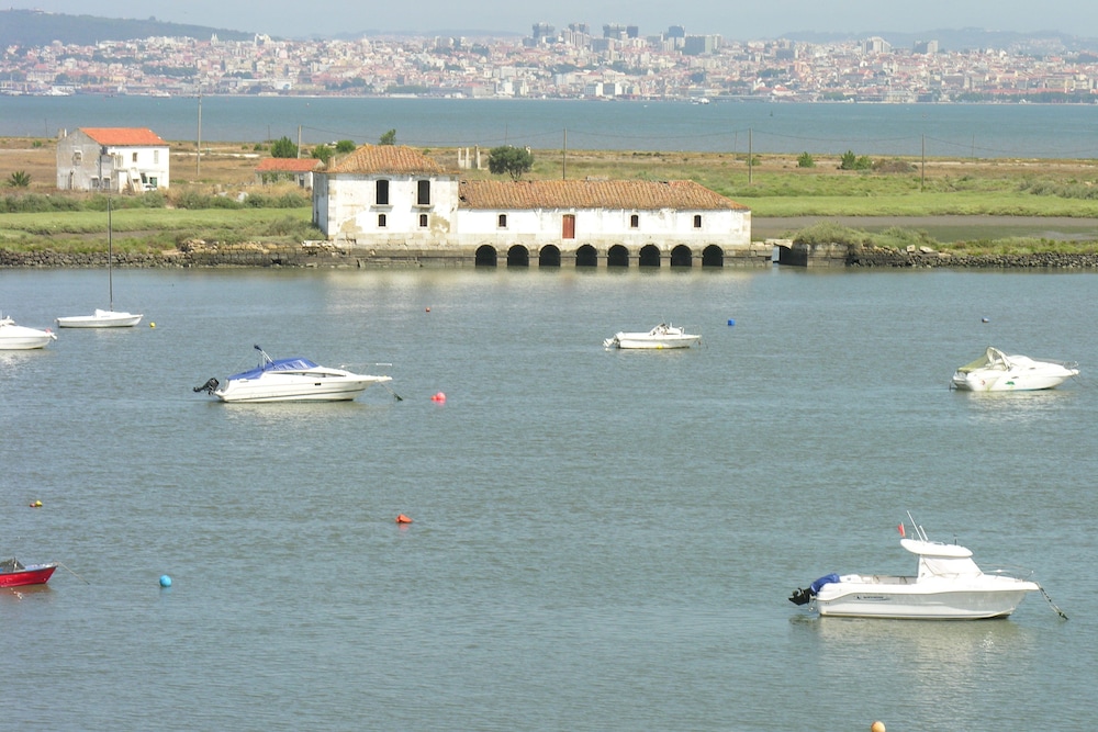 The Boat