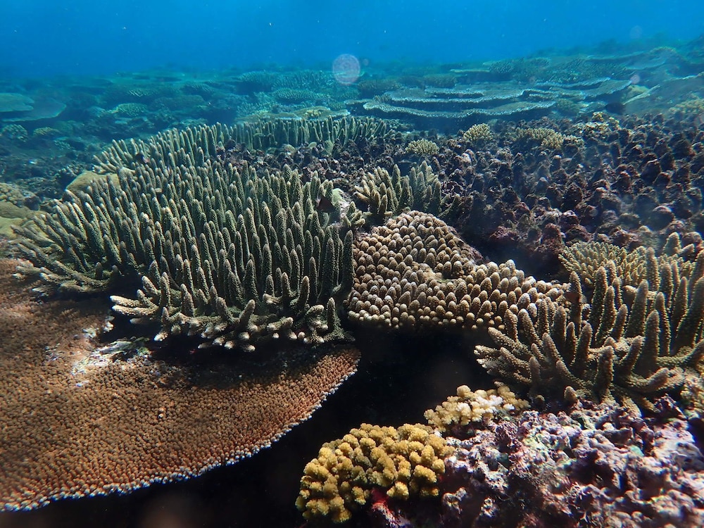Fiji Lodge Vosa Ni Ua