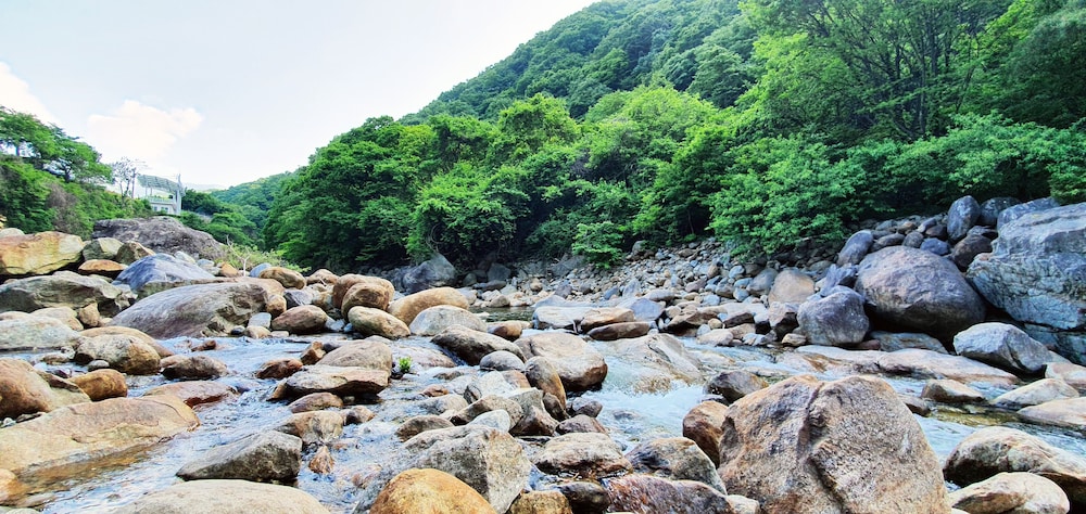 Jirisan Yeonriji Pension view 4