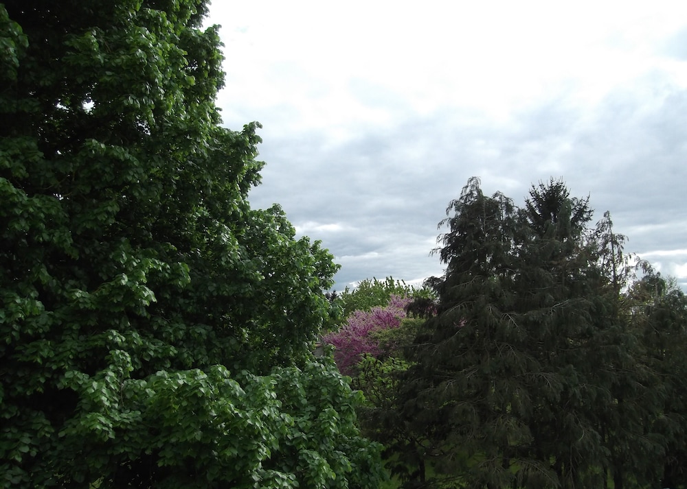 Photo 34