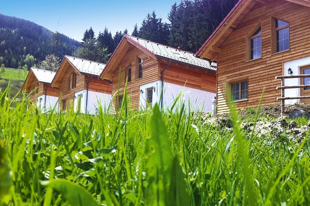 Chalet in Gaal by Ski Slopes & Alpine Park