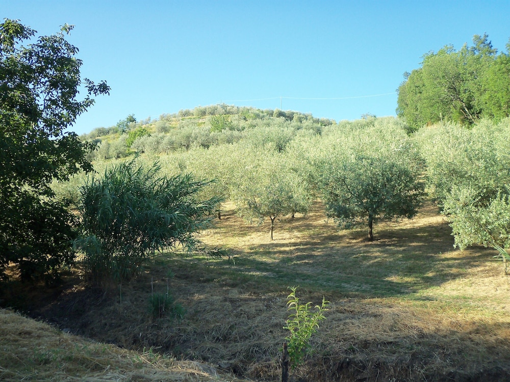 Agriturismo Il Colle