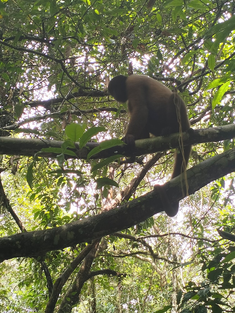 Cabañas Ecológicas Mu'ü