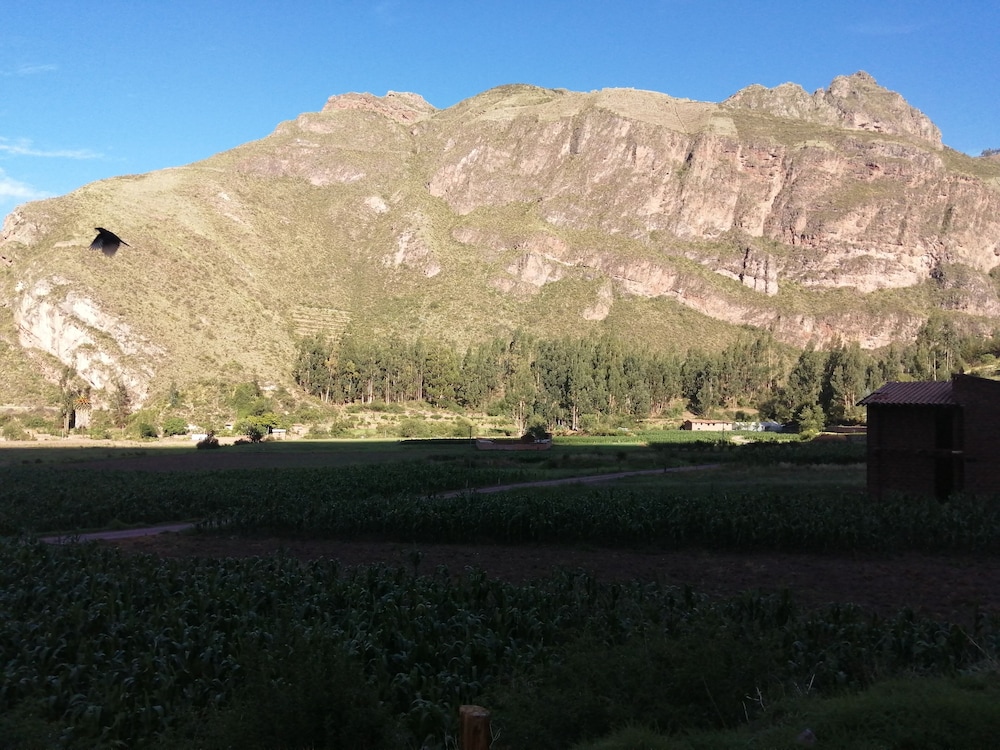 Photo 23