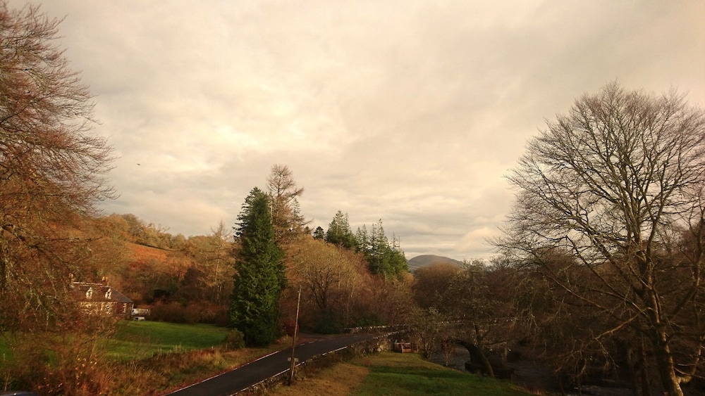 Photo 49