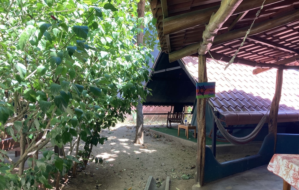 Photo 44