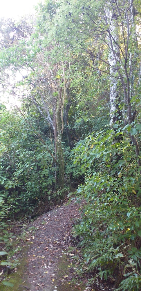 Photo 33