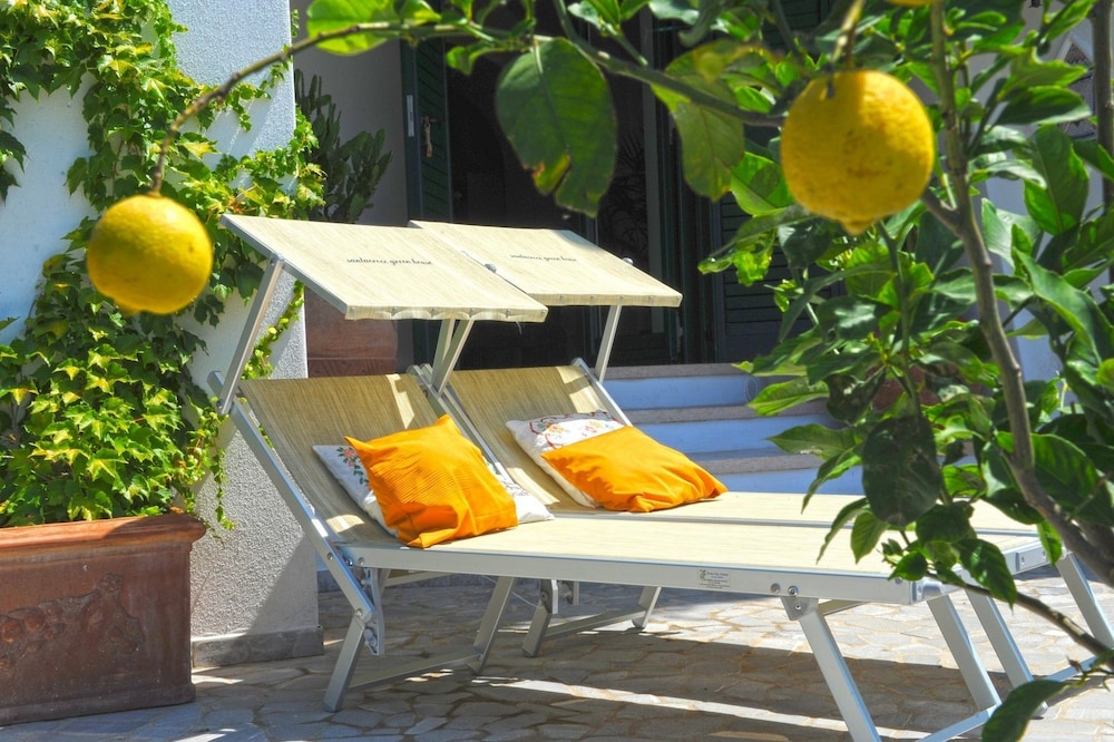 Casa Verde