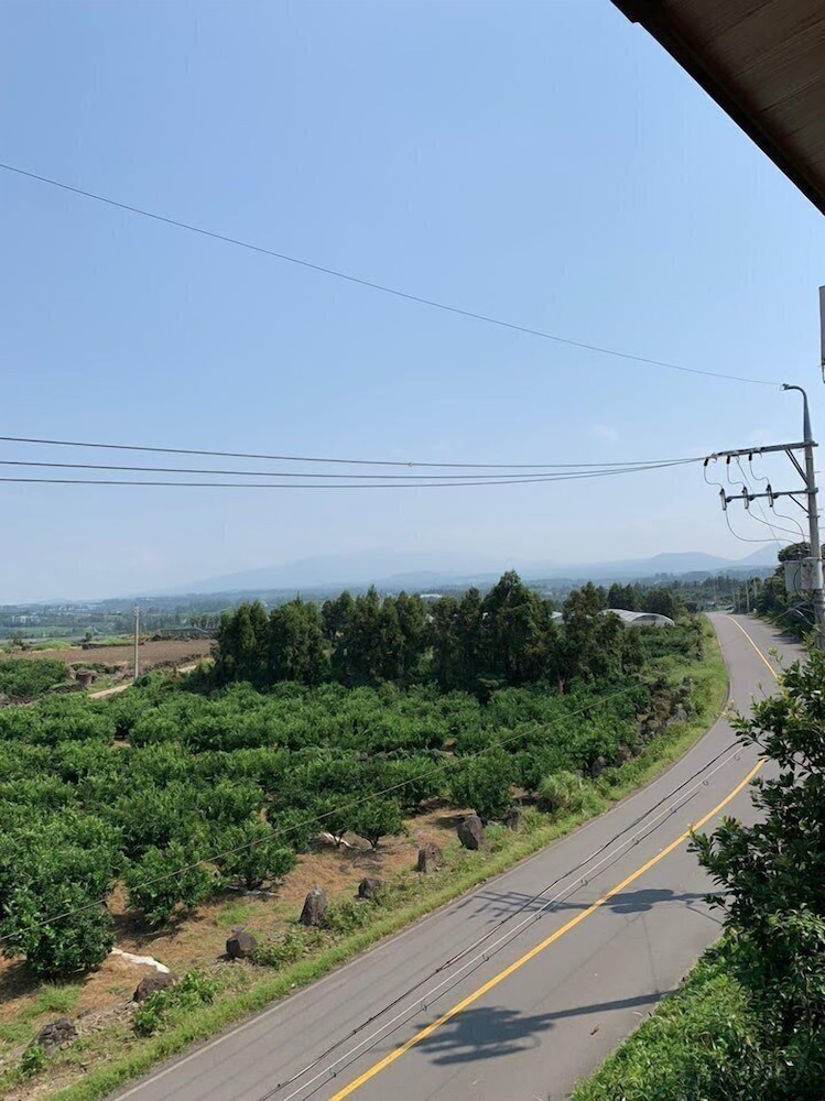 Jejuhanibaram