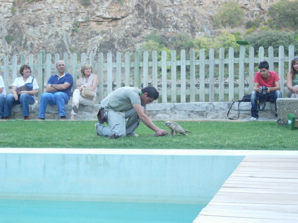 Photo 22