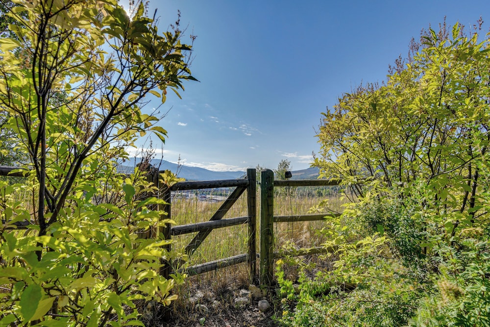 Bike, Hike & Ski: Artsy Steamboat Springs Retreat!