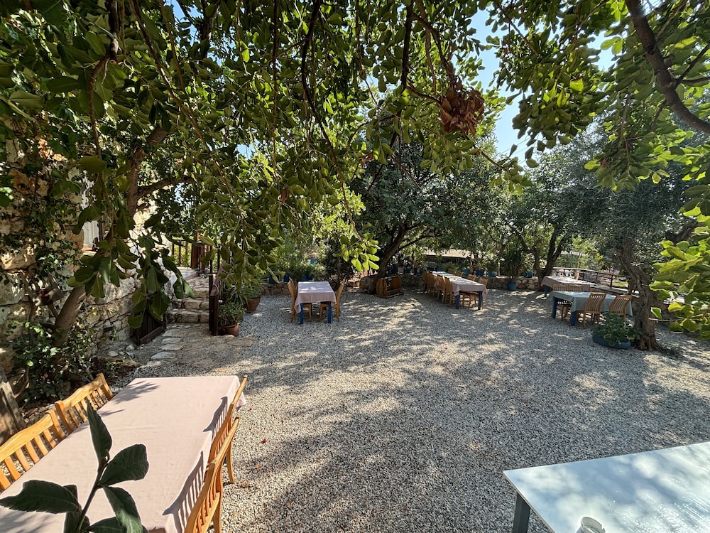 Telemen'in Evi Pansiyon