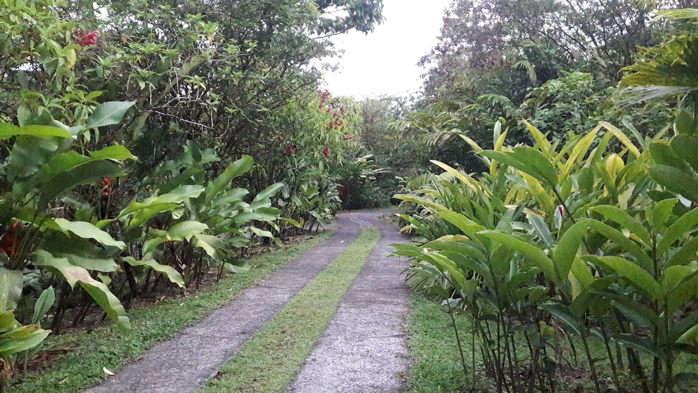 Rancho Margot