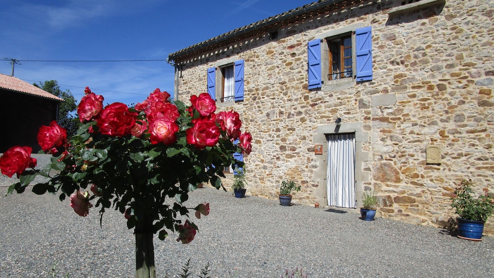 Gîtes et Chambres d'Hôtes Peyrecout Tarn
