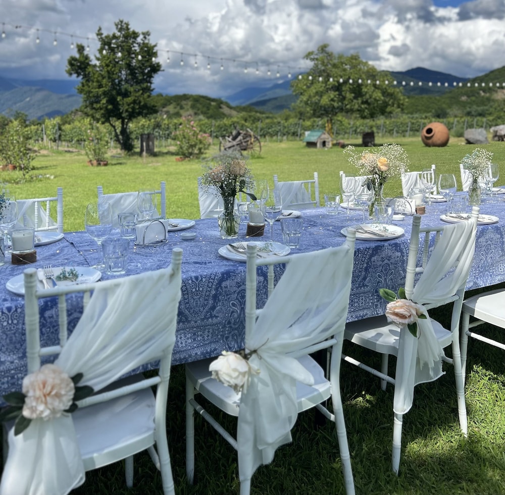Chubini winery & cabins view 5