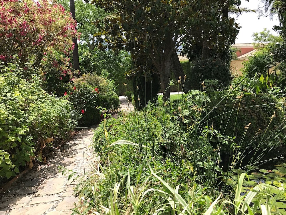B&B Cortijo Andaluz