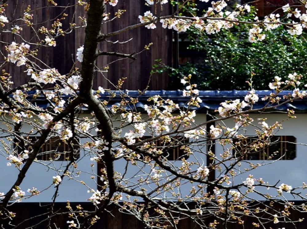 Kyoto Shirakawa Kiraku Inn - Hostel