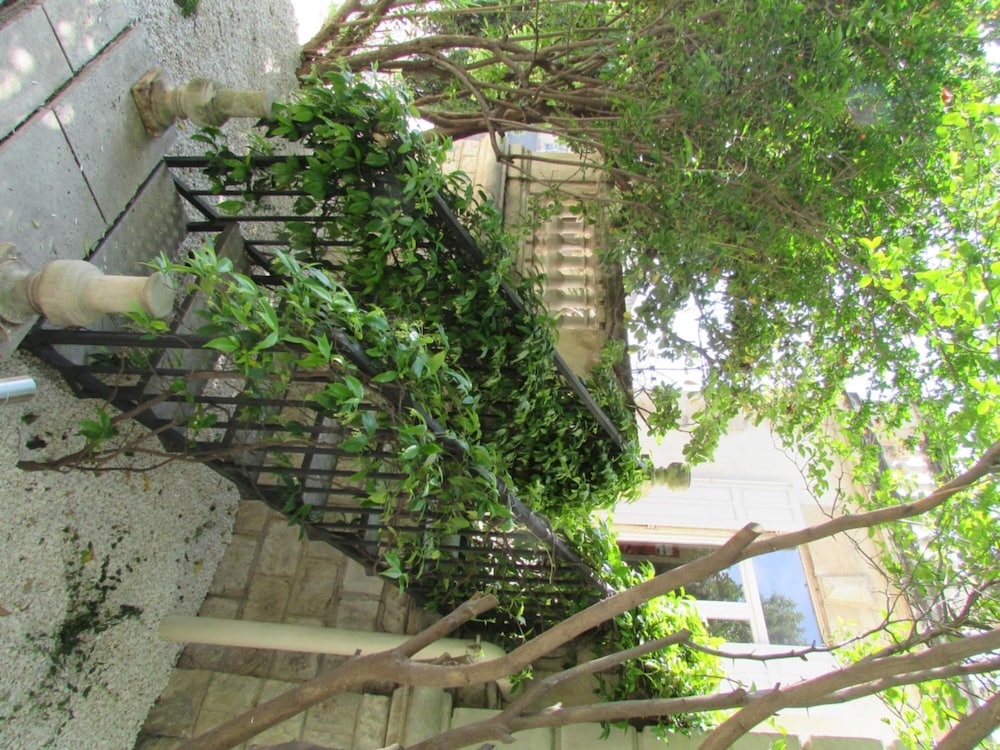 Photo 41