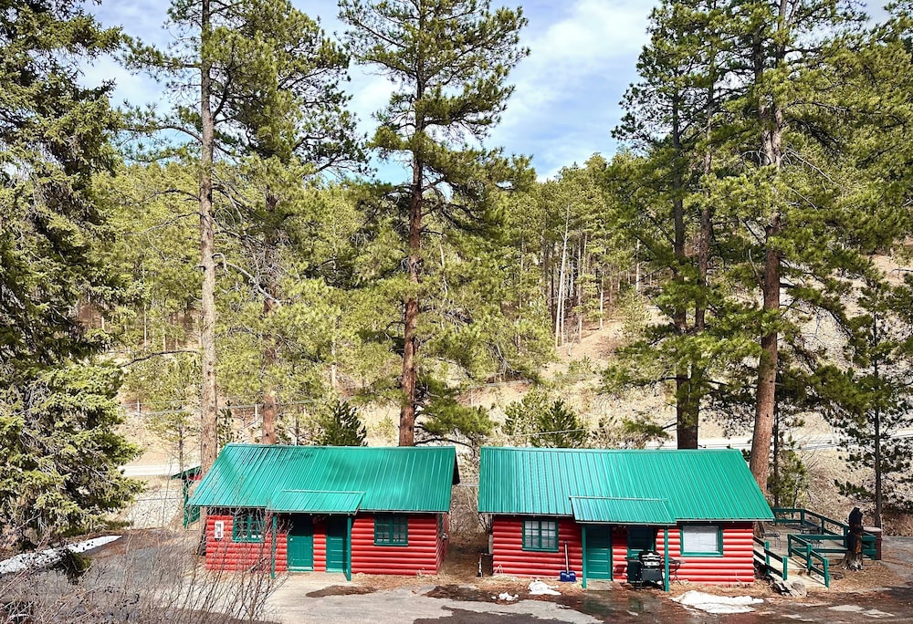 Ponderosa Pines