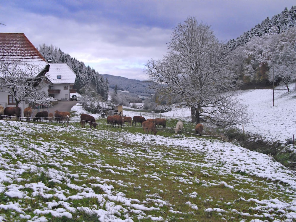 Comfortable Holiday Home in a Beautiful Location