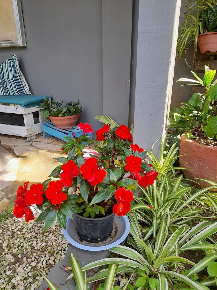 Pousada Flora Búzios