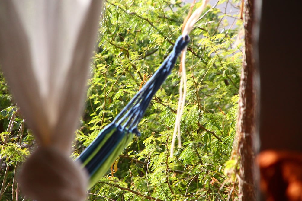 Farinha de Pau - Eco Rural Project