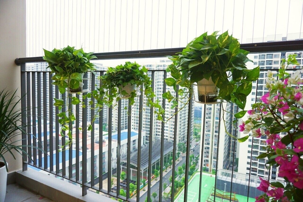 Park Hill Times City Apartment