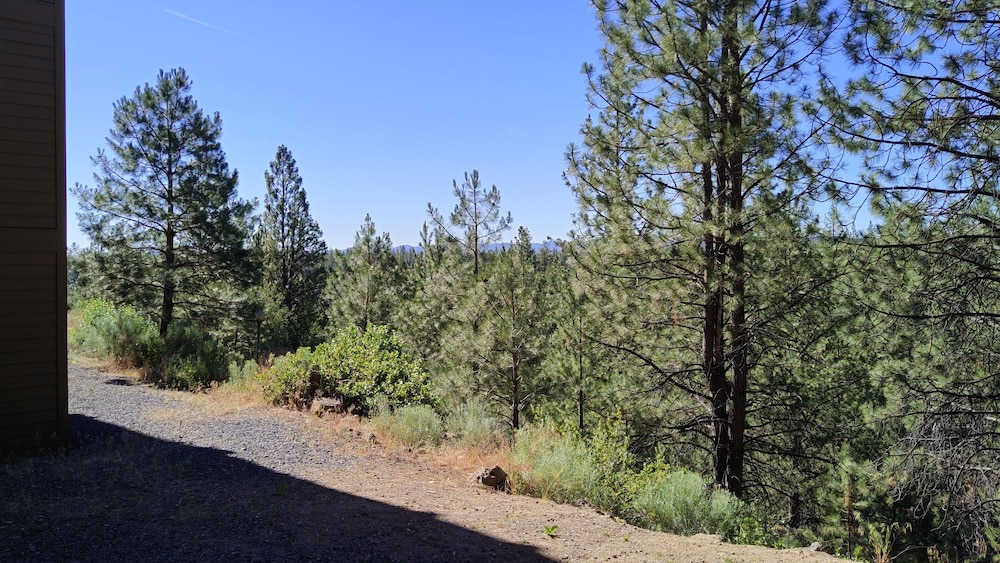 7th Mtn 611c 1 Bedroom Condo