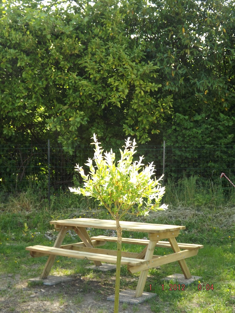 Photo 30