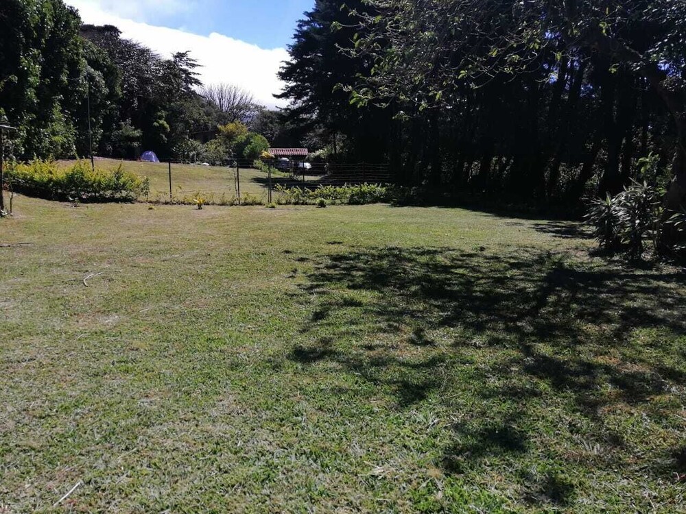 Photo 38