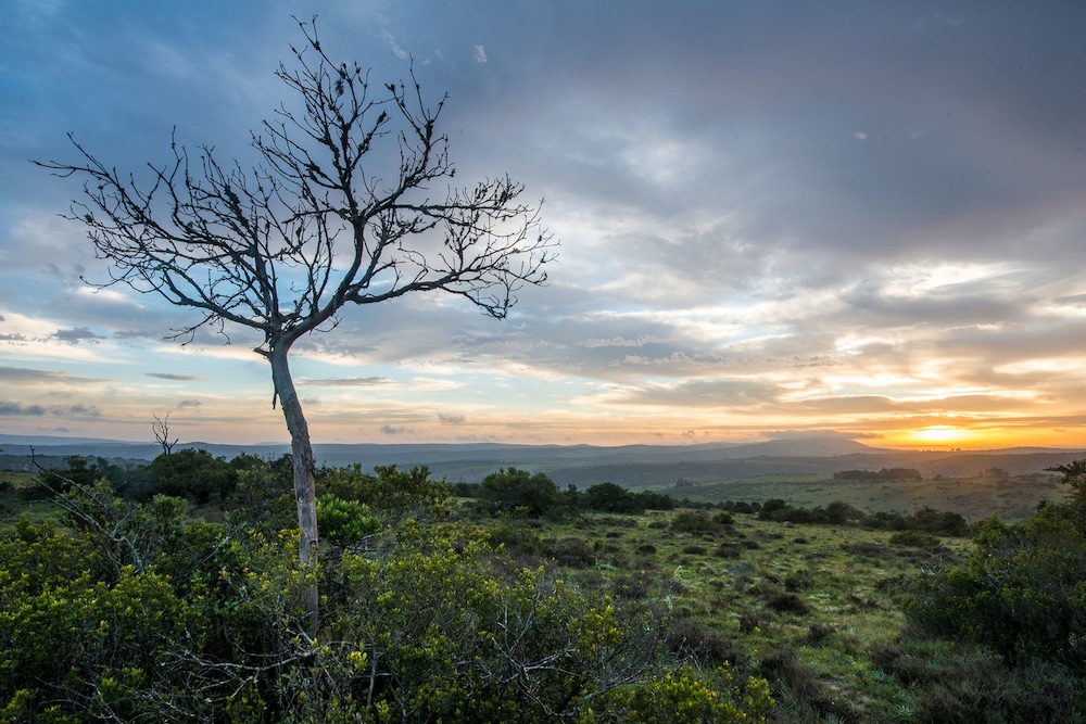 Shamwari Riverdene