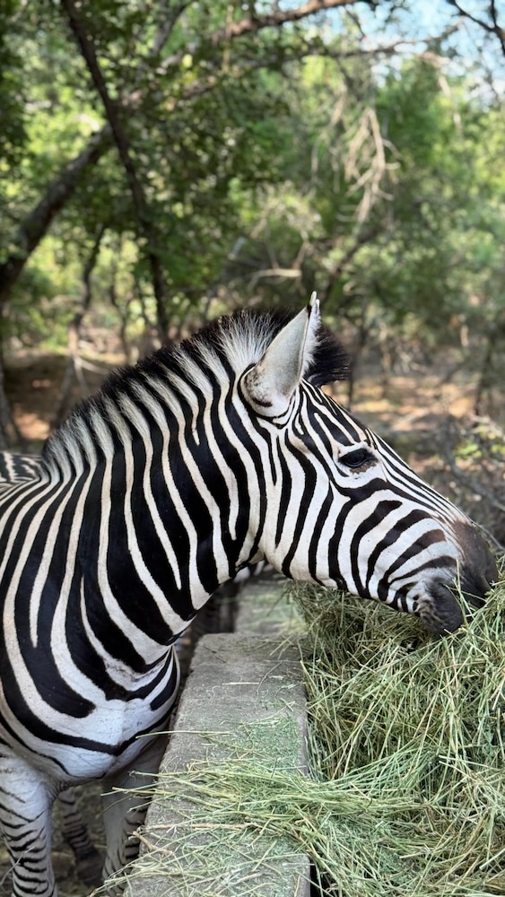 Singwe Private Safari lodge