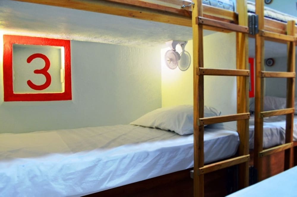 Hostel Natura