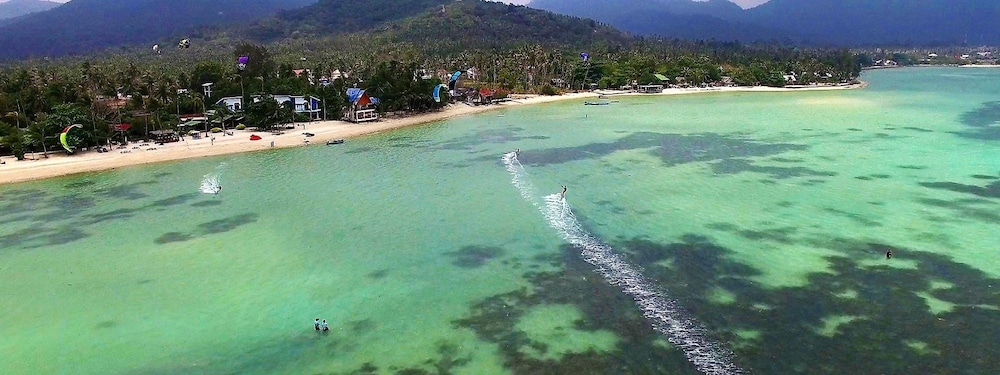Dancing Elephant Beach Club - Hostel