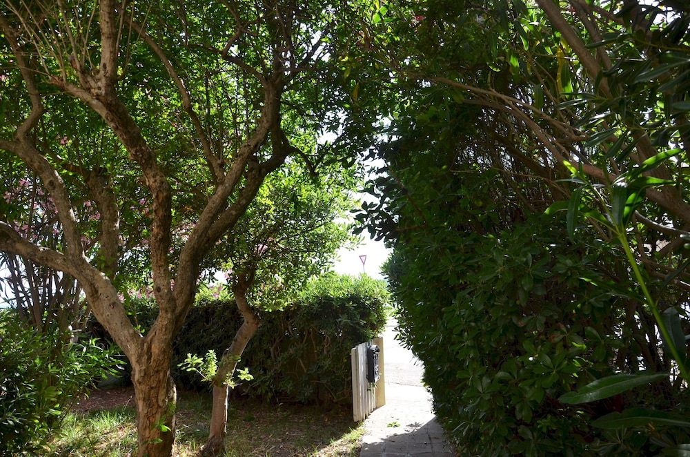 Photo 20