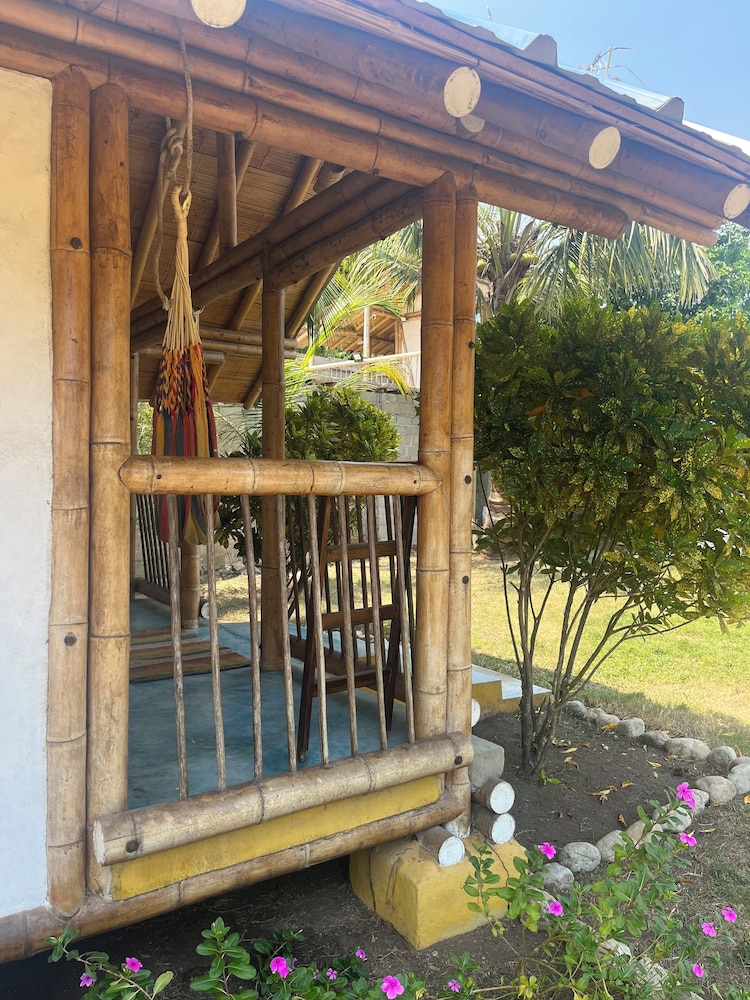 Tree of Life - Hostel