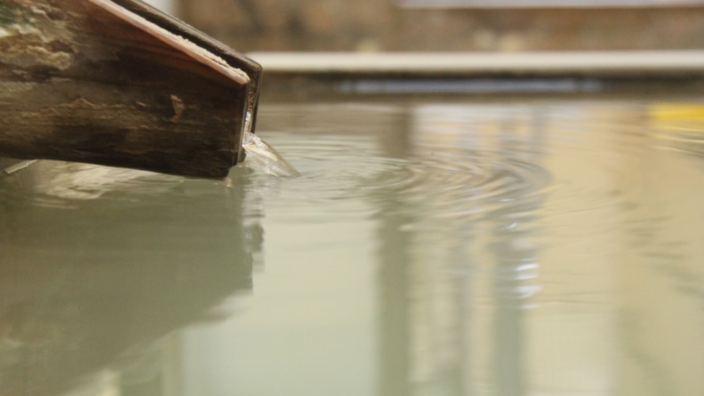 Onsen Ryokan Mitake