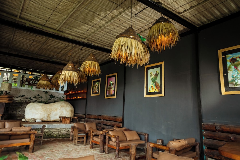 Krazy Gecko Resort