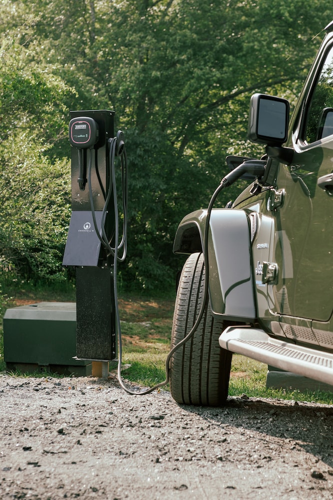 Photo 183