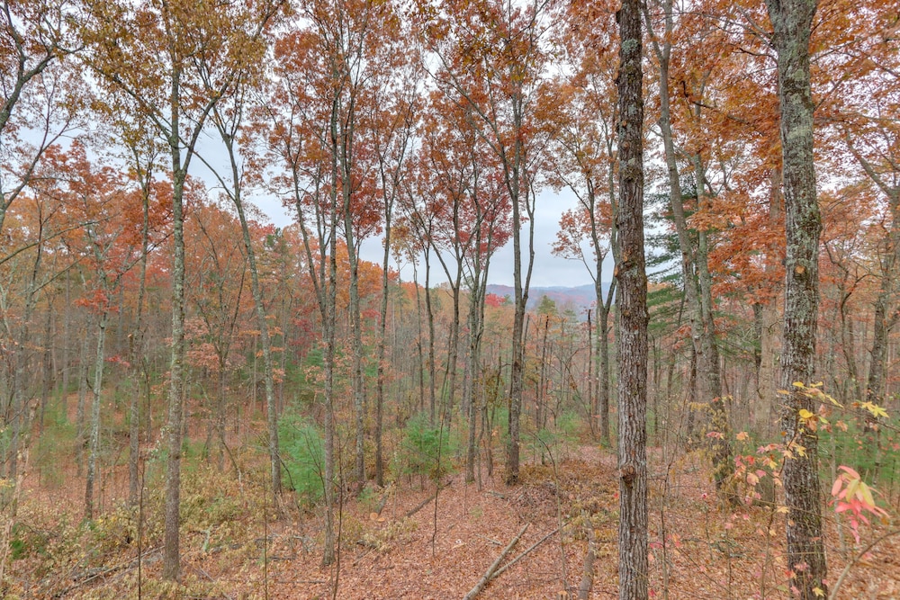 Blue Ridge Cabin w/ Hot Tub, 5 Mi to Downtown!
