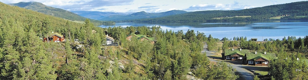 Photo 10