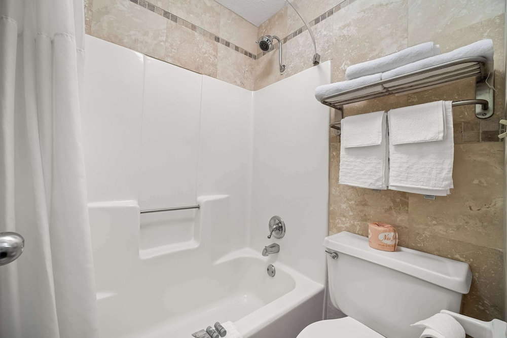 Best Western Braselton Inn - Property Image 1