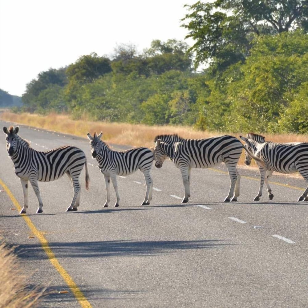 Xhabe Safari Lodge - Chobe