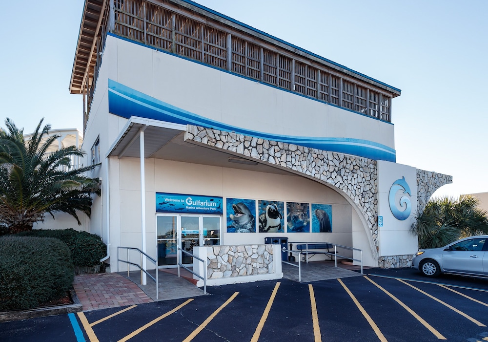 Pelican Isle 507 by Brooks and Shorey Resorts