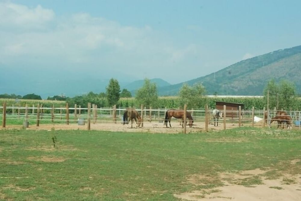 Villa Mirano B&B