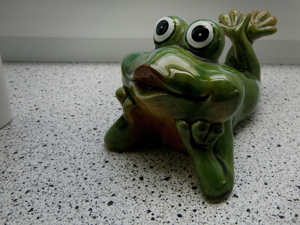Photo 16